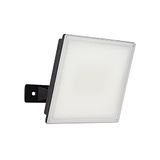 Xanlite PR50WM wandspot, 3500 lumen, slank, 50 W