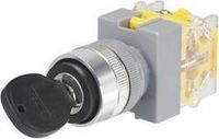 TRU COMPONENTS 704480 Y090-A-11Y/21 commutateur à clé 250 V/AC 5 A off/on 1 x 90 ° IP40 1 pièce(s)