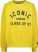 Vingino Nishan Jongens Sweater - Geel - Maat 128