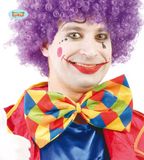 Guirca Clown & Nar Kostuum - Geruite Vlinderdas Clown 30 Centimeter - Multicolor