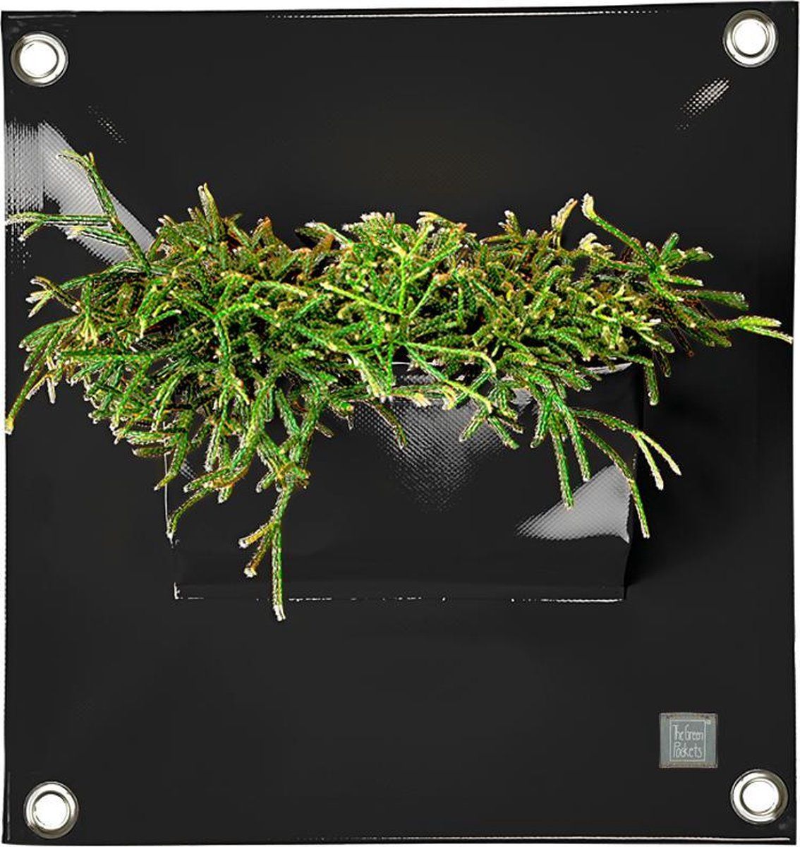 Bloomingwalls Plantenzak The Green Pockets - Black