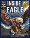INSIDE AN EAGLE: FULL-COLOR LABELED ILLUSTRATION