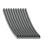 febi bilstein 44703 V-ribriem, aantal ribben 10, 1 stuk