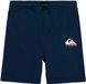 Quiksilver Easy Day Korte Sportbroek Blauw 16 Years Jongen