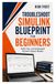 Troubleshoot SIMULINK BLUEPRINT FOR BEGINNERS: Build, Test, and Understand Dynamic System Models