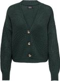 ONLY ONLCAROL NICE L/S CARDIGAN KNT NOOS Dames Vest - Maat M
