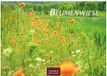 Blumenwiese Casares Fine Art Edition Blumenwiese Kalender 2027 - Wandkalender | Fotokalender Naturkalender 24x35cm | Wunderschöne Fotos der blühenden Natur