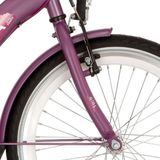 Alpina Fourche avant 22 violet mat