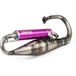 Yasuni Pot d'échappement R-Pro Peugeot Trekker Violet