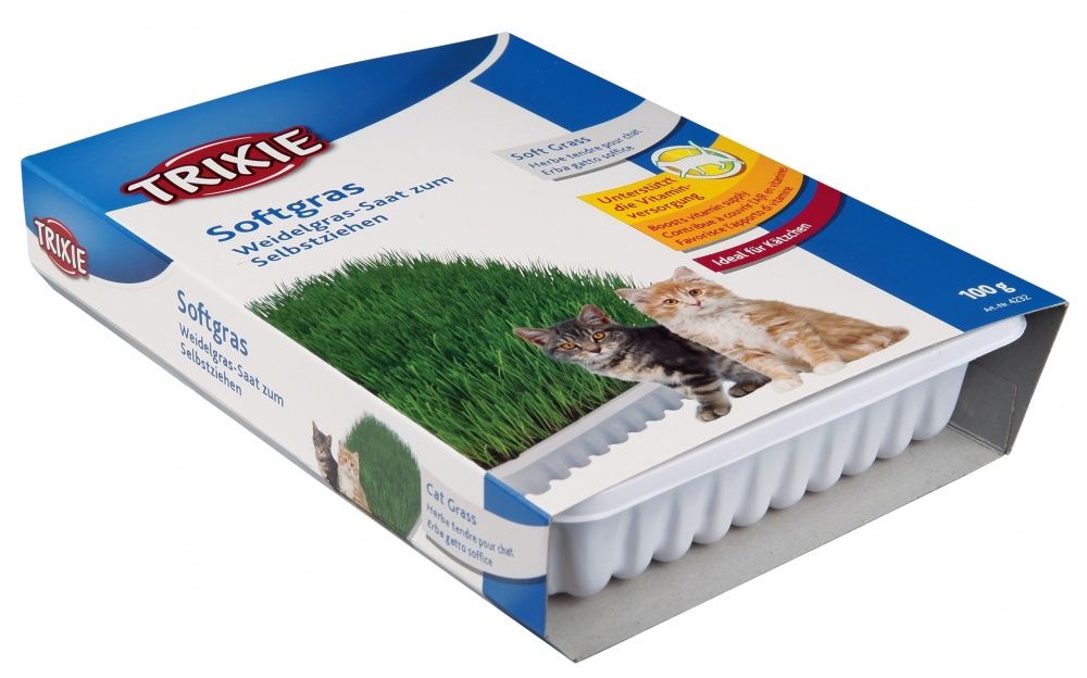 Brekz 4232 - Kattengras - 4011905042329
