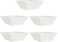 vidaXL Plantenbak Wit 5 stuks 40 x 40 x 15 cm