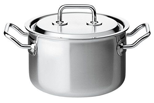 Spring Vleespan van roestvrij staal - EAN: 7640113010454