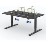 Flexispot Bureau Assis Debout 200 X 80 Cm – 2 Moteurs Puissants – Capacité De Charge 120 Kg – Réglable De 70 À 119 Cm – Commande Manuelle Intuitive