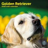 Baker & Bray Golden Retriever Kalender 2027 Wandkalender