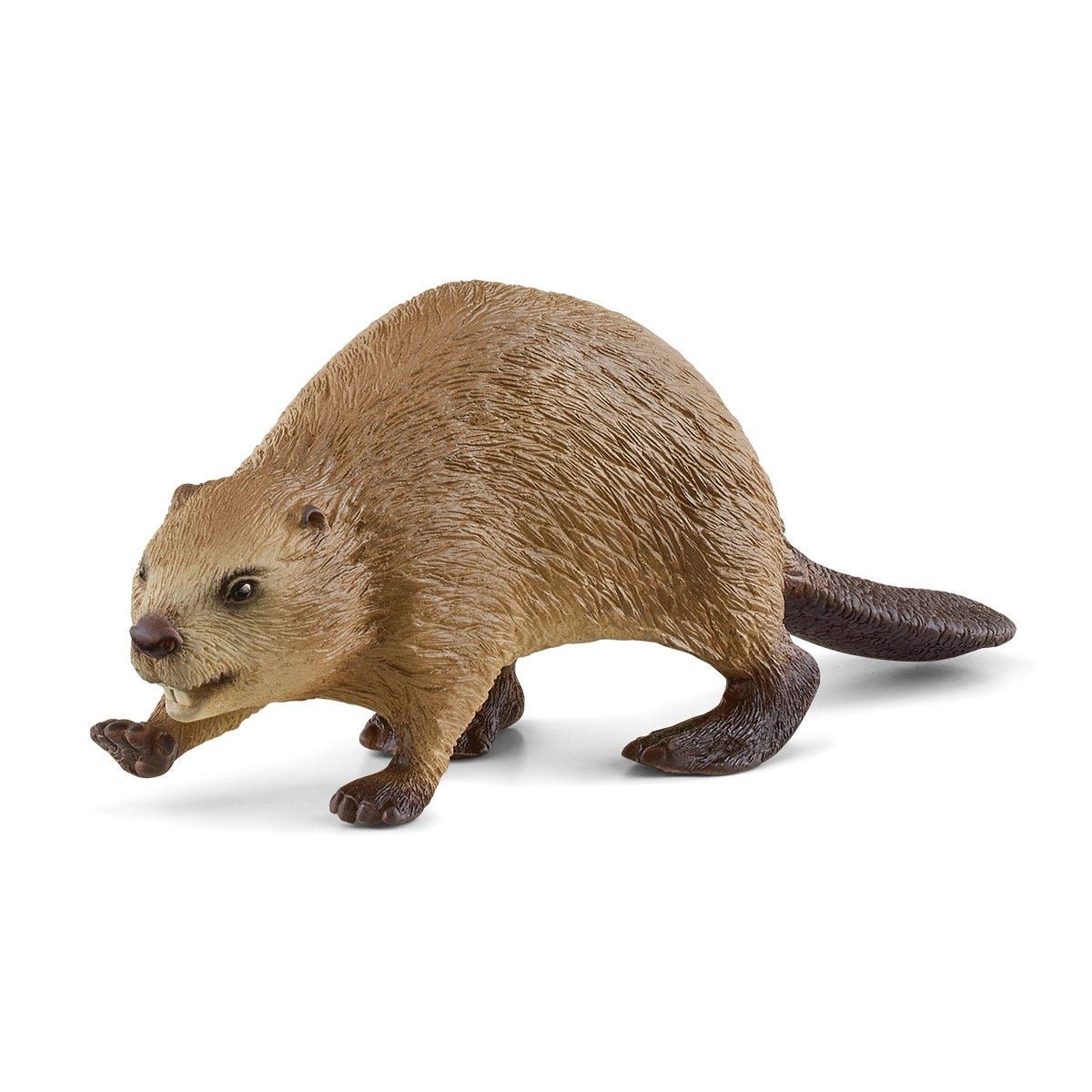 Schleich WILD LIFE Bever 14855 - Speelgoedfiguur - Bruin - Plastic - 3+ jaar