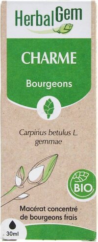 Strand Windscherm 4 meter - Effen Groen - Houten Stokken