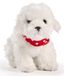 Uni-Toys - Maltezer, staand - met halsdoek (hartjemotief) - 32 cm