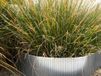 Intergard Cortenstaal borderrand flexibel 240x15cm