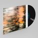 Ashes Avishai Cohen Ashes to Gold