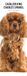 Cavalier King Charles 2025 Slim Kalender