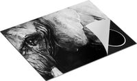 Chefcare Inductie Beschermer Getekende Olifant - Zwart Wit - 65x52 cm