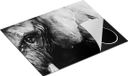 Chefcare Inductie Beschermer Getekende Olifant - Zwart Wit - 65x52 cm