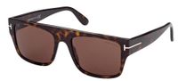 Tom Ford Dunning-02 Ft 0907 Lunettes de soleil homme Havane Géométrique Marron 55mm