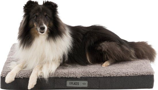 Trixie Vitaal Matras Bendson Hondenkussen 120x72x10 cm Grijs