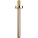 Wiesbaden Caral Douchearm met Plafondbevestiging - 20cm - Geborsteld Messing