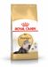 Royal Canin Breed Persian Adult - Kattenvoer - 4 kg