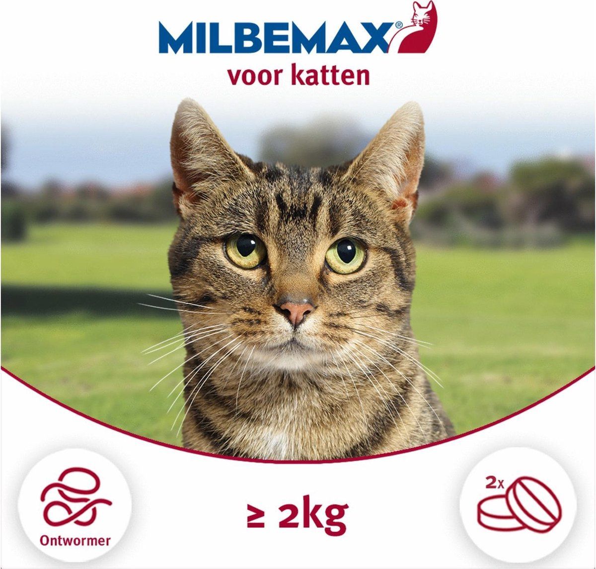 Milbemax Elanco Kat - Anti wormenmiddel - 2 tab 2-8kg
