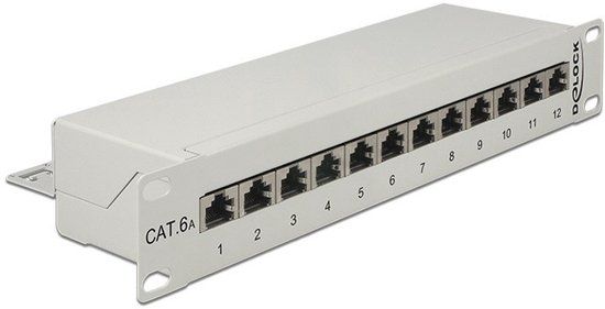 Delock 43308 patch paneel 1U Grijs