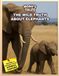 The Wild Truth About Elephants