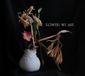 Sonic Rendezvous Flowers We Are Flowers We Are (CD)