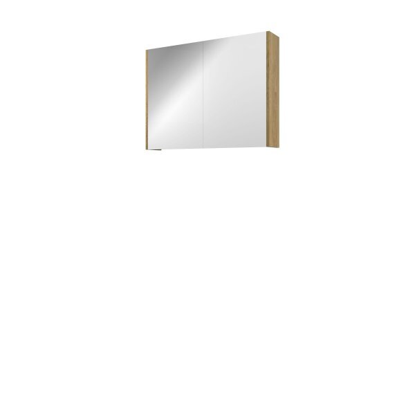 Proline Spiegelkast Xcellent met dubbel gespiegelde deuren, 2 deuren 80x14x60cm Ideal oak 1808852