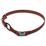 Educator Quick Snap Bungee hondenhalsband, biothaan, waterdicht, geurloos, gemakkelijk aan te sluiten en los te koppelen sluiting en D-ring met comfortabele bungee-lus, verstelbaar voor aangepaste