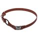 Educator Quick Snap Bungee hondenhalsband, biothaan, waterdicht, geurloos, gemakkelijk aan te sluiten en los te koppelen sluiting en D-ring met comfortabele bungee-lus, verstelbaar voor aangepaste
