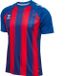 Hummel Hmlmatch gestreept jersey S/S 233155