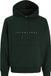 JACK&JONES - JJESTAR JJ SWEAT HOOD NOOS - Heren - Sweaters - Scarab - L