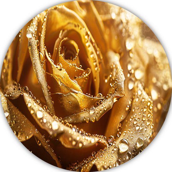 Merkloos / Sans marque Roos Schilderij - Bloem Wandpaneel - Waterdruppels - Modern - Forex - Rond - 100x100cm