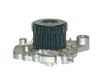 Saleri SIL PA1303 Waterpomp