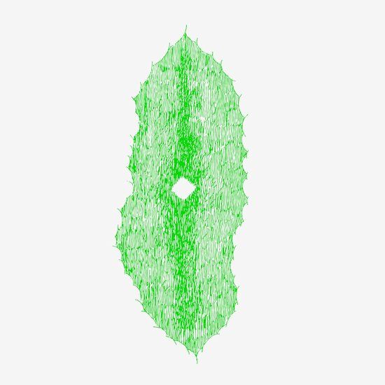TRANSITION Tv Dust - Transition (LP)