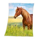 Herding Fleece Deken - Young Collection - Paardenmotief - 130x160 cm - Multi