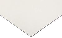 Plaat van kunststof, kleurloos, 305 mm x 625 mm x 4 mm