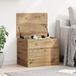 vidaXL - Boîte de rangement - artisanal - couleur chêne - 60 x 42 x 46 cm - Bois traité