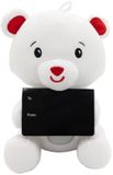 Riethmuller Ballongewichtje 2-in-1 Pluche Knuffel Ijsbeer (170gr-21cm)