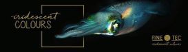 FINETEC® Iriserende aquarelverf set Pixie Dust | 6 kleuren