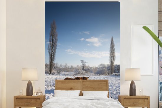 Nr1Wallpaper Behang - Fotobehang Schotse hooglander - Licht - Sneeuw - Breedte 200 cm x hoogte 300 cm