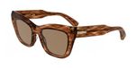 Longchamp LO777S Striped brown Cat Eye Zonnebril Vrouwen
