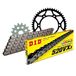 Kettingset DID Kettingset staal 520VX3 / 110 clipslot voor Yamaha XJ S Diversion N 600 cc Bj. 1991-2008
